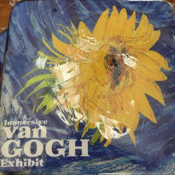 NEW! Immersive Van Goph, Seat Cushions, Set of 2 - Picture 3 of 3